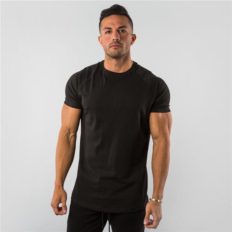 Cotton Crew Neck T-Shirt