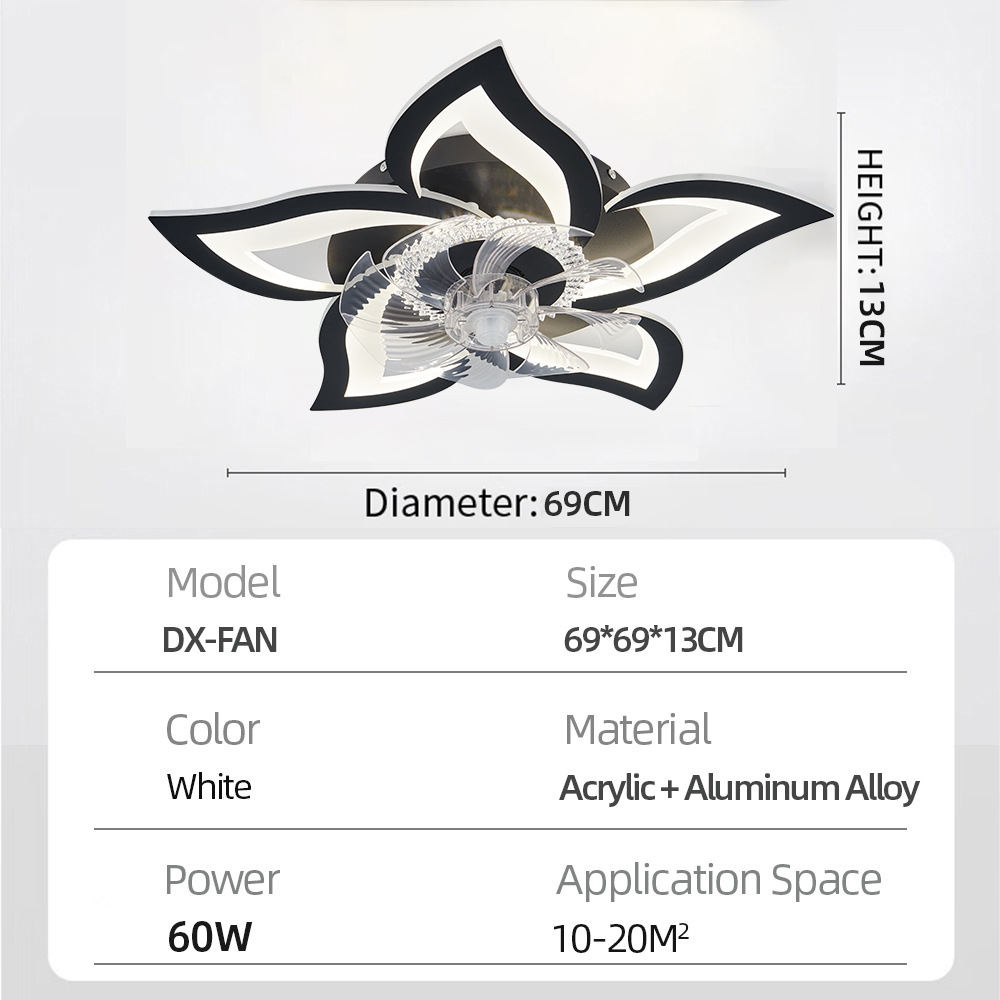 Variable Frequency Ceiling Fan with Light