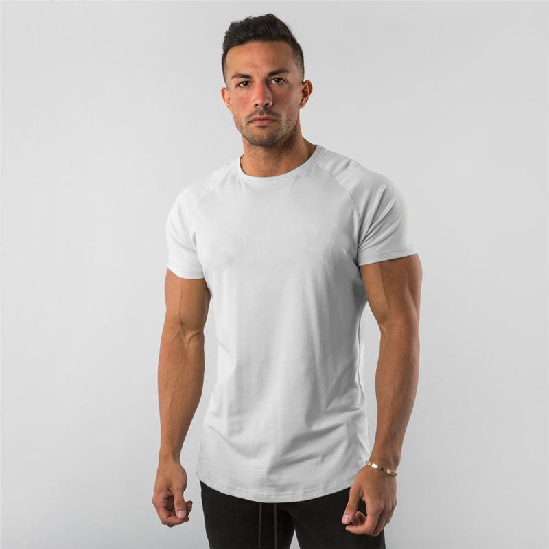 Cotton Crew Neck T-Shirt